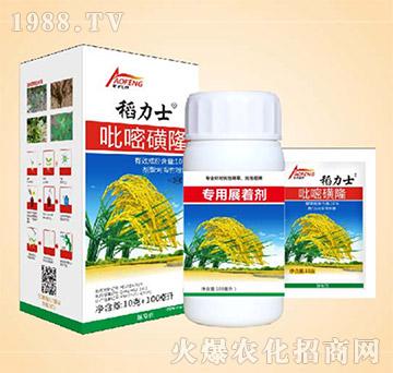 10%���׻�¡-����ʿ-ͬ�S