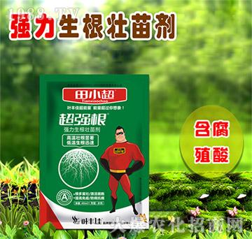 �����������焩-������-��С��