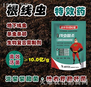 ���x����-�~�S�ѳ�����