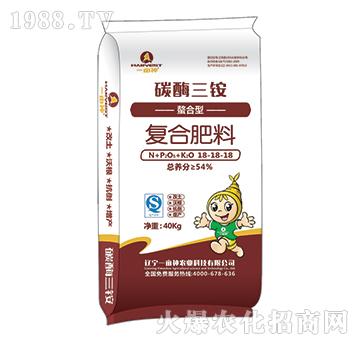 ̼ø���@�����͏ͺϷ���18-18-18-һ����