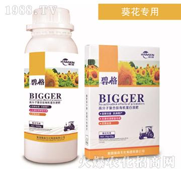 ���տ����ø߷��ӏ�(f��)�����ЙC(j��)����Һ��-�̸�-�ɭ�r(n��ng)�I(y��)