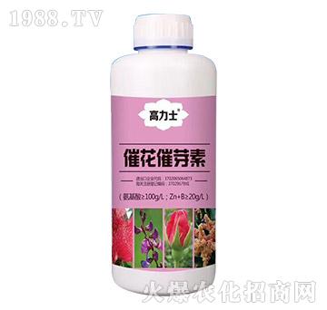 �߻���ѿ��-����ʿ-�а����r(n��ng)