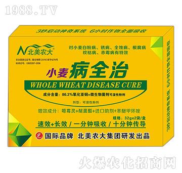 С����ȫ��-�����r(n��ng)��