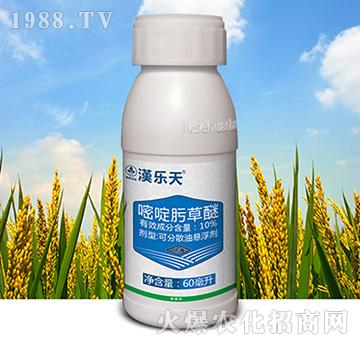 10%���뿲���-�h����-�к����_(d��)