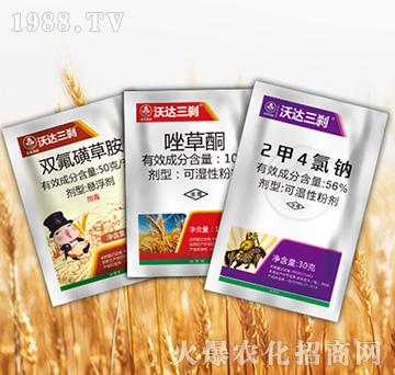 ���_(d��)���x�M��-�к����_(d��)