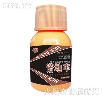 ���K�o�(l��i)���(zhu��n)��-�Z���S-�Z��