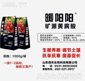 �VԴ�S����-ů�(y��ng)�(y��ng)-ɭ������