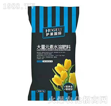 高磷型大量元素水溶肥料（袋）-護(hù)果國(guó)際