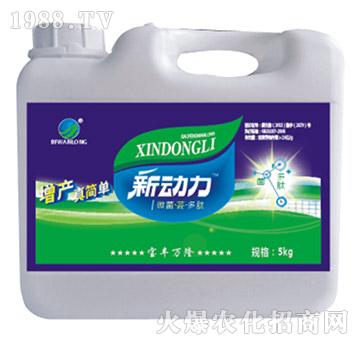 ΢�����|������-���S�f(w��n)¡