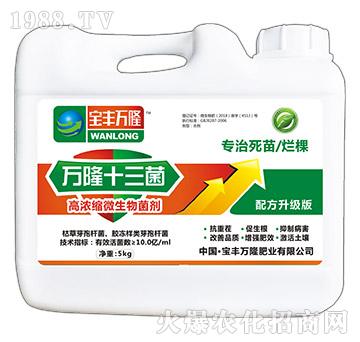 �ߝ�s΢�������-�f¡ʮ����-���S�f¡