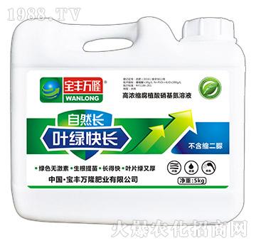 �~�G���L-��Ȼ�L-���S�f¡