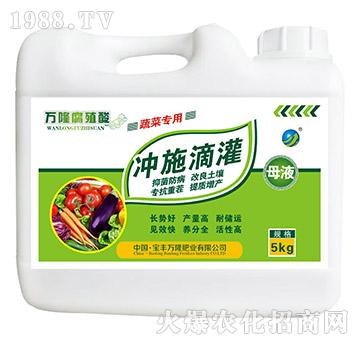 蔬菜專用腐植酸母液-沖施滴灌-寶豐萬(wàn)隆