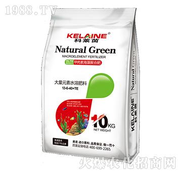 ����Ԫ��ˮ�ܷ���13-6-40+TE-���R��-�W���r(n��ng)�I(y��)