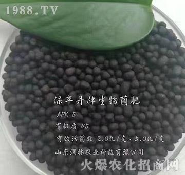 �������-���S��-�����r�I(y��)