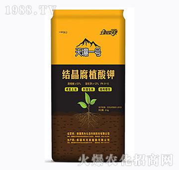 �Y(ji��)����ֲ���-����һ̖(h��o)-��ɫ���B(t��i)