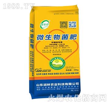 ɰ�ǽی���΢�������-���S��-�����r(n��ng)�I(y��)