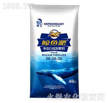 �~(y��)���׾�ጷ���20-20-20-�L�~(y��)��-����