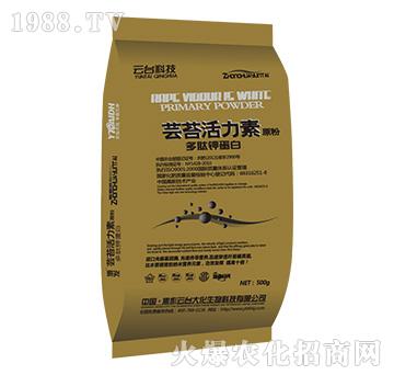 �|̦������ԭ��-���_��