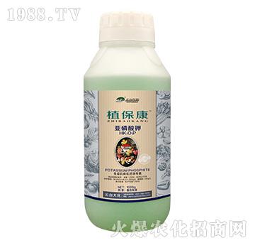 1000gֲ����-���_��