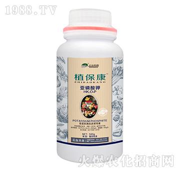 500gֲ����-���_(t��i)��