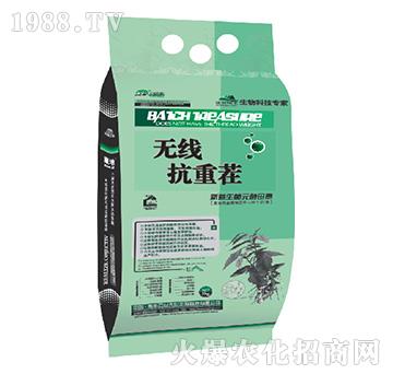 �o�����ز�-���_(t��i)��