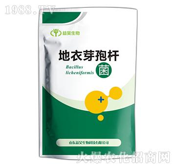 ����ѿ�ߗU��-�������