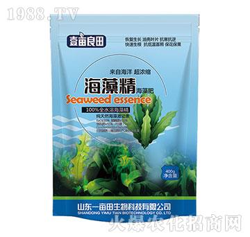 ���徫�����-Ҽ������