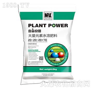 大量元素水溶肥20-20-20+TE-壹畝良田