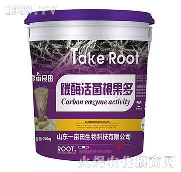 ̼ø���������-Ҽ������