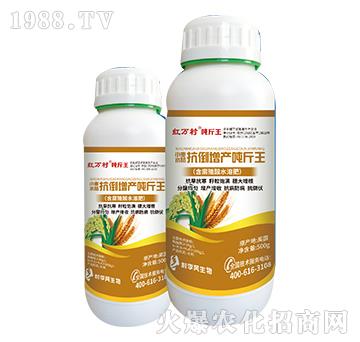 С��ˮ��������-���˹����r��