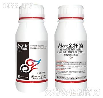 �K�ƽ�U��-�׼Ӻ�-���˹����r(n��ng)��