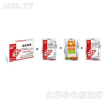 ���������ײ�-�ܼ׽M���ײ�-���˹����r��