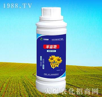 ������(zhu��n)���~���-�뮀��