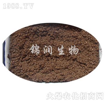 ����ù�P����-�\������