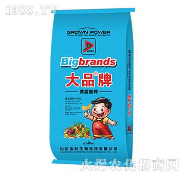 �S����⛴�Ʒ��-ɽ������