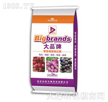 ��������߼t��-��Ʒ��-ɽ������