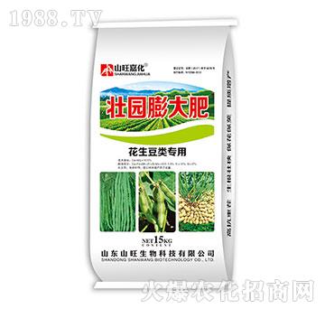 ���������-�ш@����-ɽ������