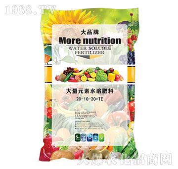 ����Ԫ��ˮ�ܷ���20-10-20+TE-ɽ������