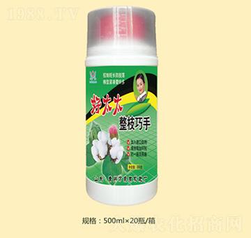 ��̫̫��֦����-�fȪ�r(n��ng)��