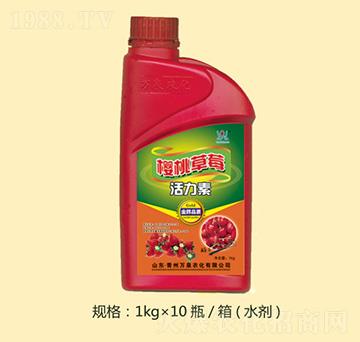 ���Ҳ�ݮ������-�f(w��n)Ȫ�r(n��ng)��