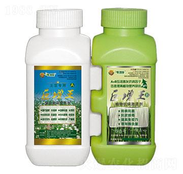 ��������������-�r(n��ng)�̘�