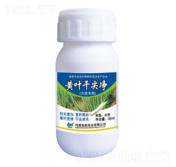 ���[�S�~�ɼ��-���䌍(sh��)�I(y��)