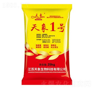 ����1̖-��������