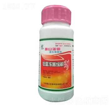 �͜؃������℩-��ɽ��