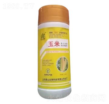 ���׌��÷�-��ɽ����