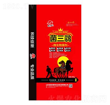 ΢�������-�����T-����t