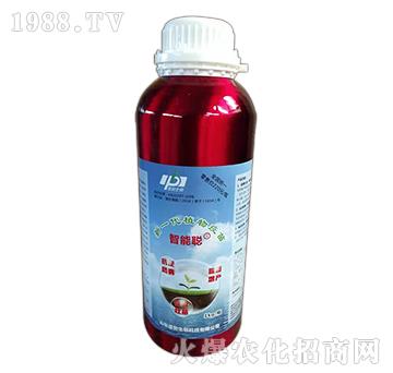 ��һ��ֲ������-����-�����