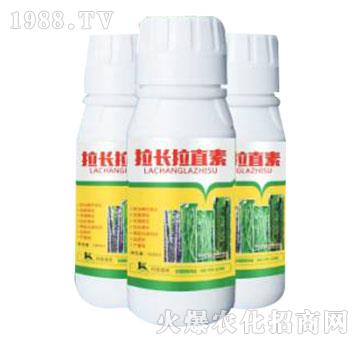 ���L(zh��ng)��ֱ��-����ֲ��