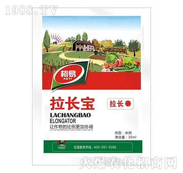 ���L��-����ֲ��