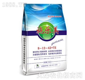 ʩ��(l��)��8-12-42+TE-����ֲ��